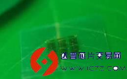 2025年新澳今晚资料与2025今晚必中必开一肖，全面释义、解释与落实，警惕虚假宣传