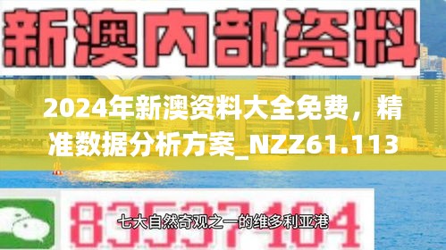2025新澳精准正版免费资料，警惕虚假宣传，全面释义、解释与落实