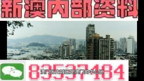 2025年新澳门与香港天天免费精准大全，警惕虚假宣传，专家全面认真解释与落实